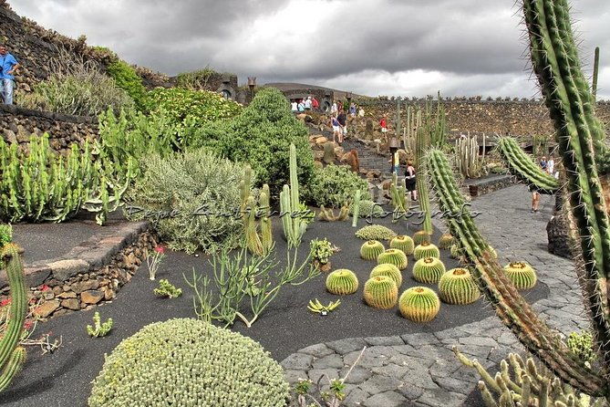 las-palmas-botanical-garden-bandama-crater-tour-gran-canaria