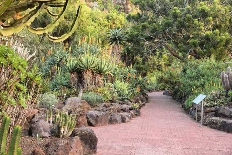 las-palmas-botanical-gardens-and-bandama-volcano-tour