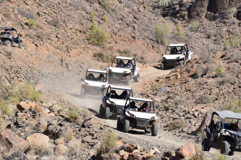 las-palmas-gran-canaria-guided-buggy-tour