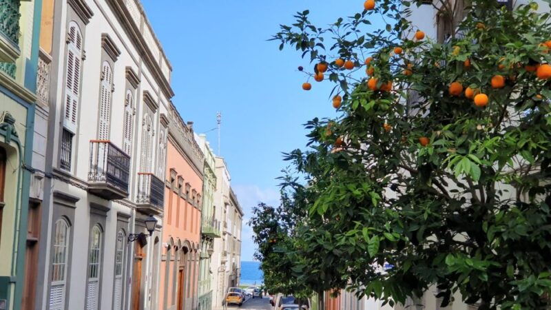 las-palmas-old-town-highlights-self-guided-walking-tour