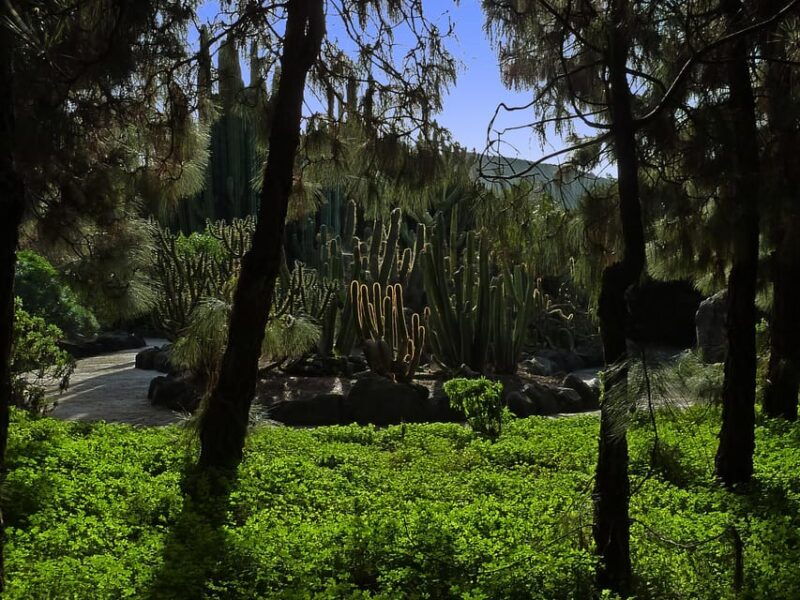 las-palmas-private-botanic-garden-tour-optional-hike-extension