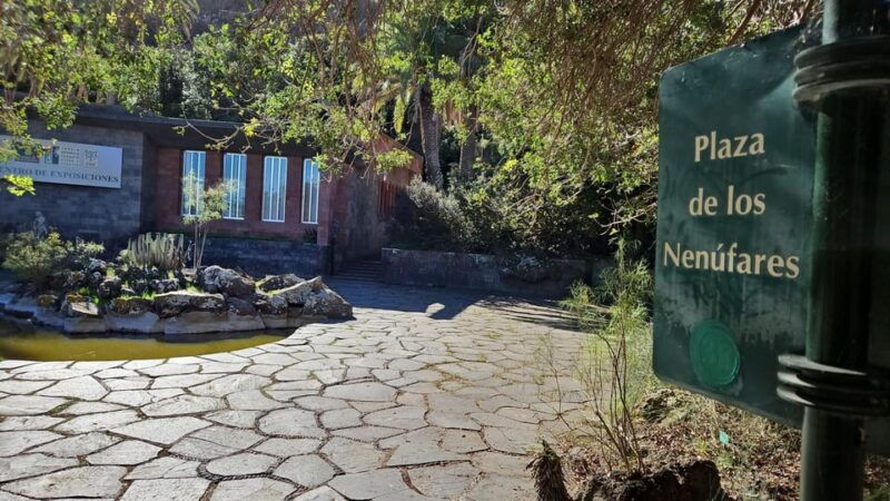 las-palmas-private-botanic-garden-tour-optional-hike-extension