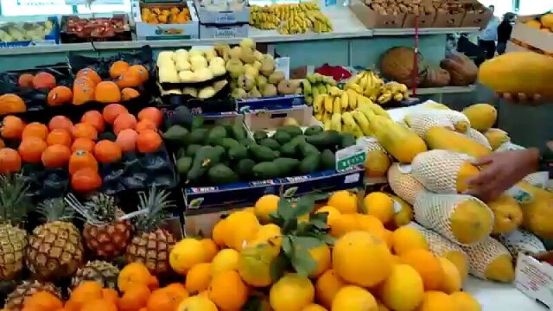 las-palmas-private-old-city-guided-walking-tour-with-tapas