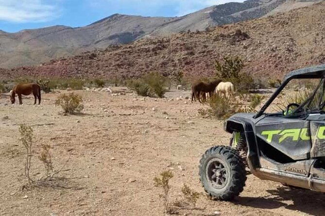 las-vegas-atv-rzr-off-road-adventure