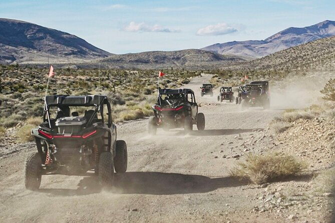 las-vegas-atv-tour-2-or-4-seater-with-free-transfer-included