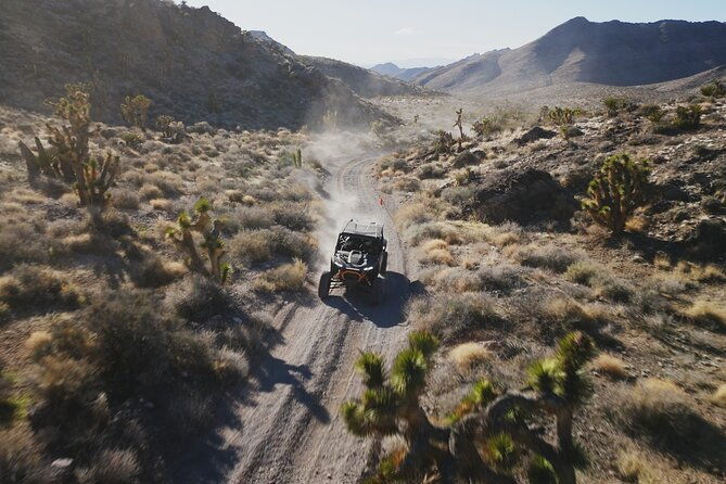 las-vegas-atv-tour-2-or-4-seater-with-free-transfer-included