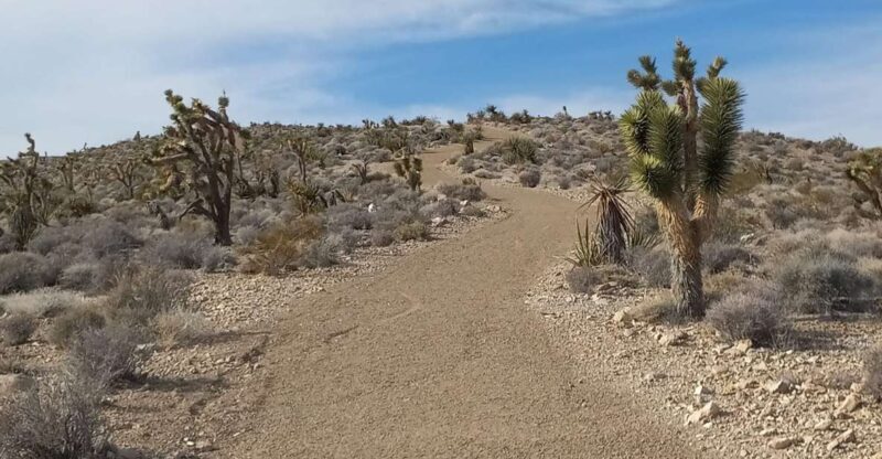 Las Vegas ATV Tours - The Machines and Safety Equipment