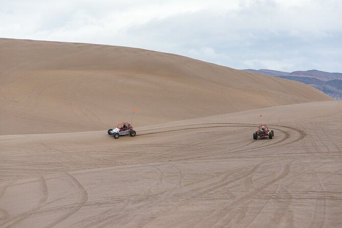 las-vegas-big-dune-free-roam-adventure-at-amargosa