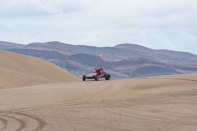 las-vegas-big-dune-free-roam-adventure-at-amargosa