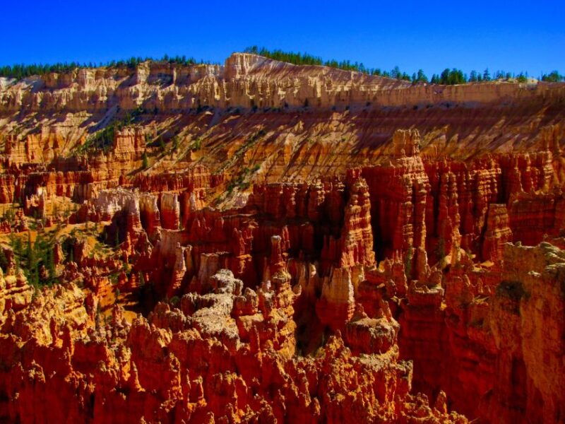 las-vegas-bryce-and-zion-national-parks-tour-with-lunch