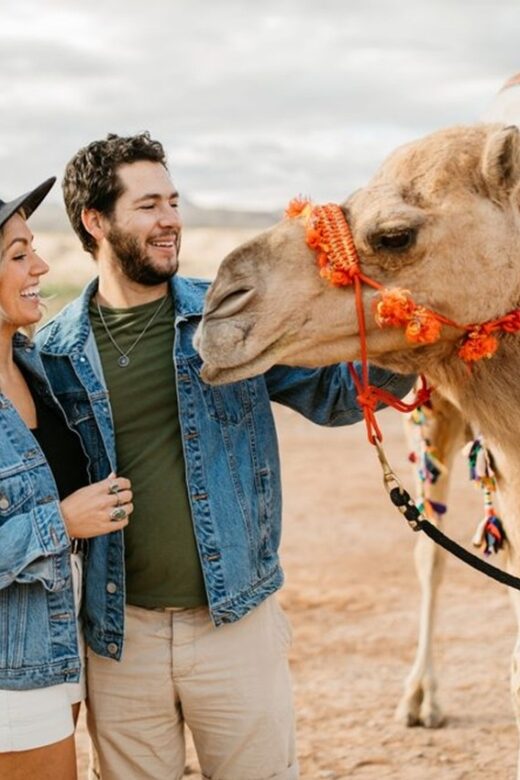 Las Vegas: Camel Safari Zoo Safari Tram Tour - The Sum Up: Is This Tour Worth It?