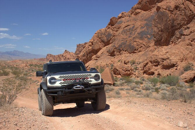las-vegas-custom-luxury-bronco-rental