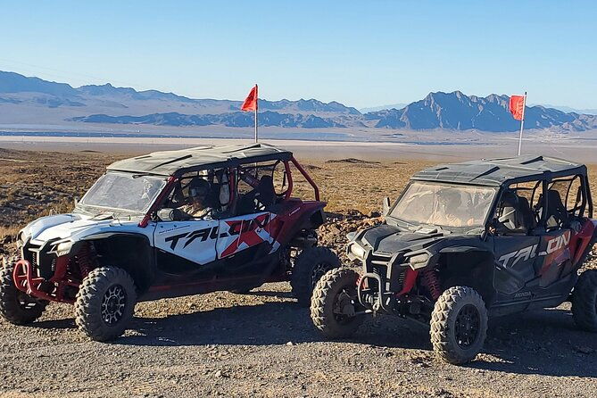 las-vegas-desert-buggy-experience