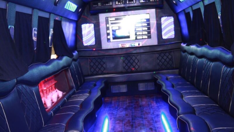 Las Vegas: EDM Pool Club Crawl with Party Bus - The Experience in Detail: What to Expect  