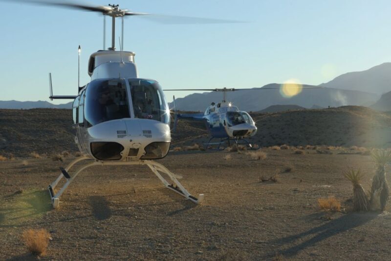 Las Vegas: Grand Canyon Helicopter West Rim Flight & Options - Analyzing the Value: Is It Worth the Cost?