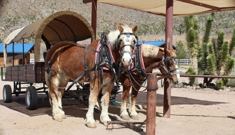 las-vegas-grand-canyon-ranch-tour-with-horseback-wagon-ride