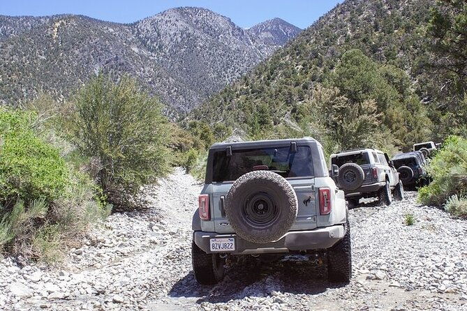 las-vegas-guided-off-road-adventure-to-callville-wash