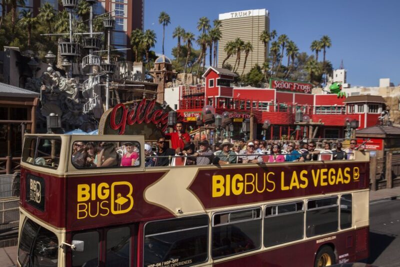 Las Vegas: Hop-on Hop-off Sightseeing Tour by Open-Top Bus - Real Experiences from Reviewers