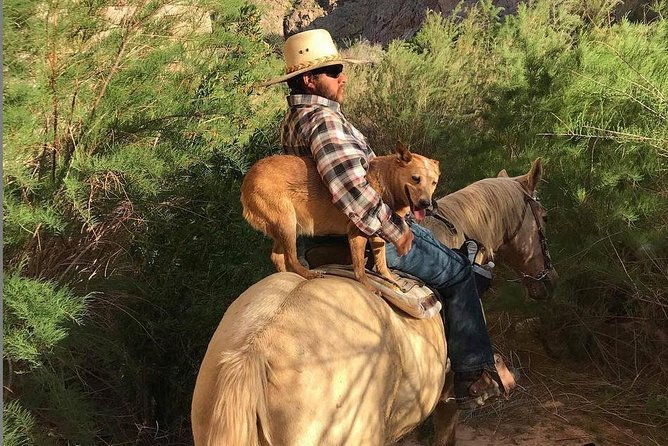 las-vegas-horseback-ride-with-meal