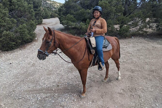 las-vegas-horseback-riding-adventure