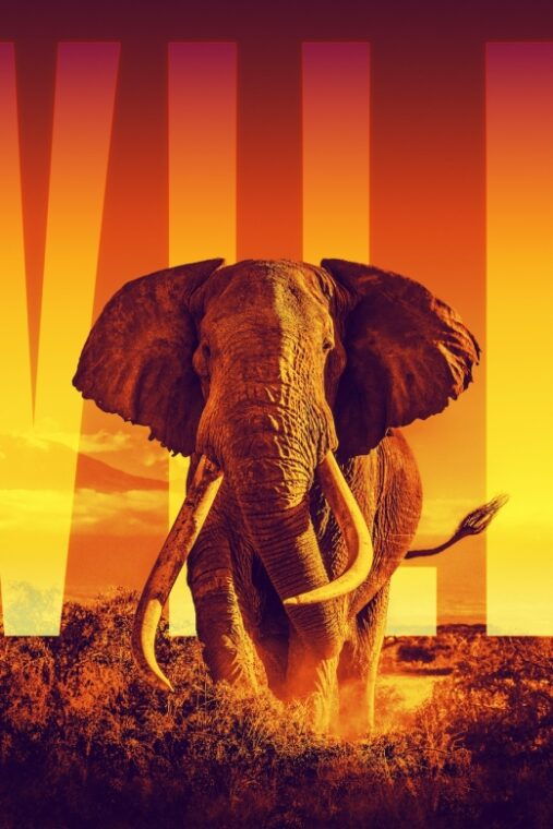 las-vegas-illuminarium-immersive-experience-tickets