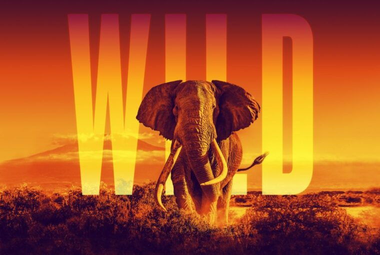 las-vegas-illuminarium-immersive-experience-tickets