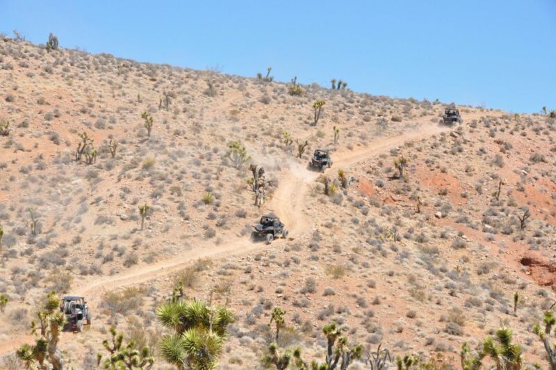 Las Vegas Mojave Off Road Adventure/Polaris RZR Guided Tour - Key Points