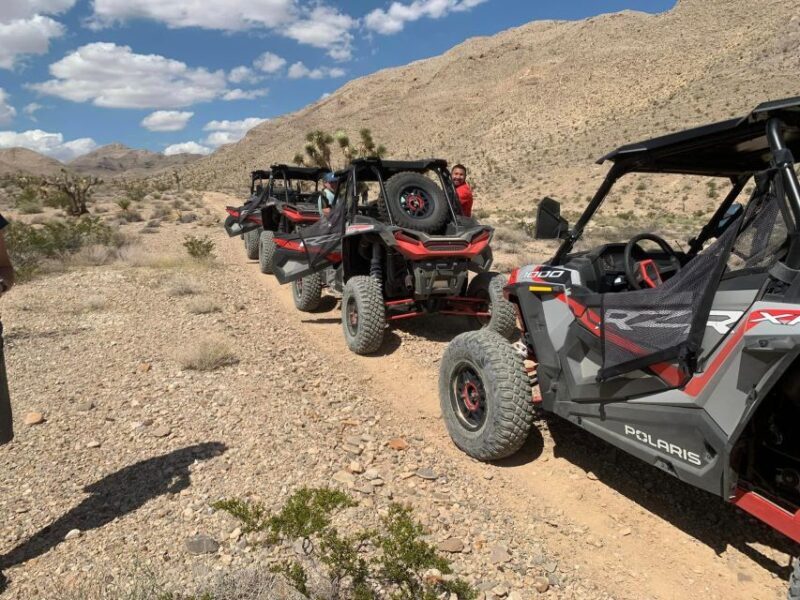 Las Vegas Mojave Off Road Adventure/Polaris RZR Guided Tour - Final Thoughts
