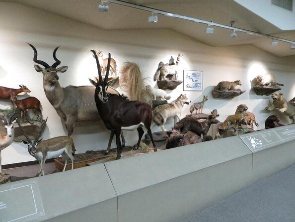 las-vegas-natural-history-museum-admission-ticket