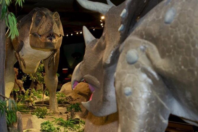 las-vegas-natural-history-museum-admission-ticket
