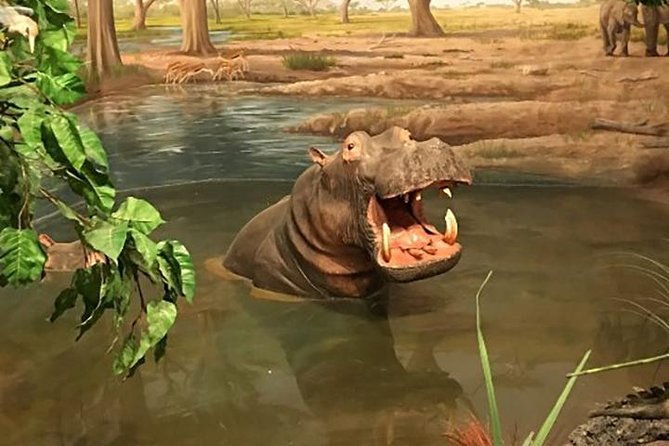 las-vegas-natural-history-museum-admission-ticket