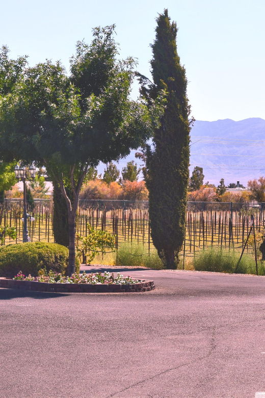 las-vegas-pahrump-wine-tasting-tour-and-snacks