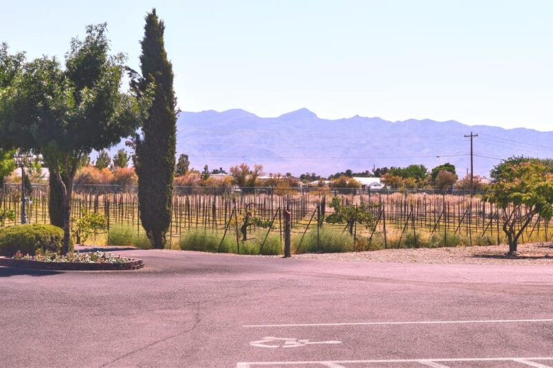 las-vegas-pahrump-wine-tasting-tour-and-snacks
