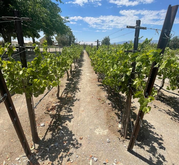 las-vegas-pahrump-wine-tasting-tour-and-snacks
