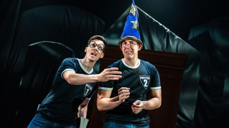 las-vegas-potted-potter-the-unauthorized-harry-experience