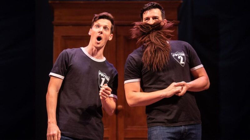 las-vegas-potted-potter-the-unauthorized-harry-experience