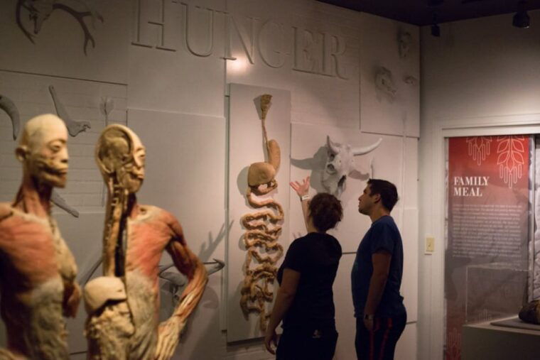 las-vegas-real-bodies-at-horseshoe-las-vegas-entry-ticket