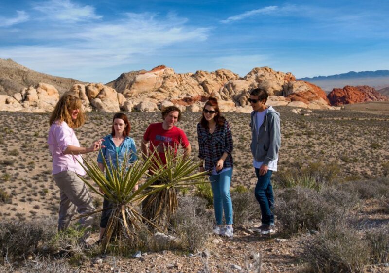 Las Vegas: Red Rock Canyon Tour & Rocky Gap 4x4 Adventure - Geological & Cultural Highlights