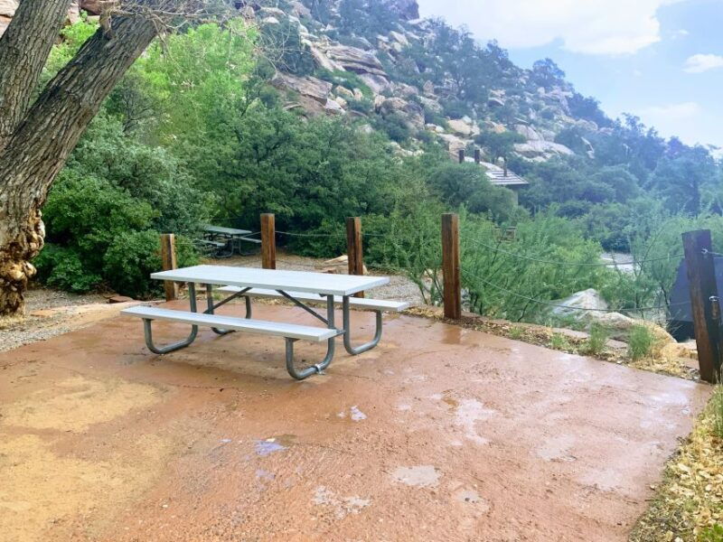 las-vegas-red-rock-canyon-whimsical-cactus-joes-lunch