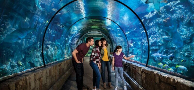 las-vegas-shark-reef-aquarium-vr-experience-entry-ticket