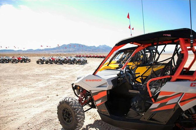 las-vegas-utv-buggy-tours
