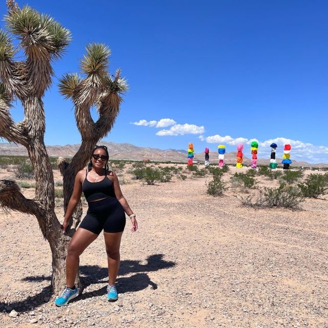 las-vegas-valley-of-fire-and-seven-magic-mountains-day-trip