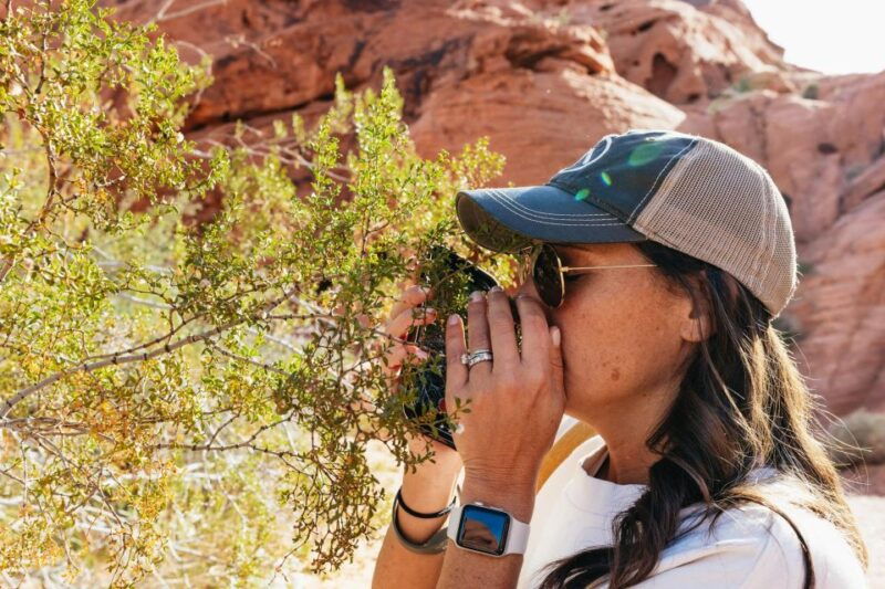 las-vegas-valley-of-fire-guided-hike-with-drinks-and-snacks