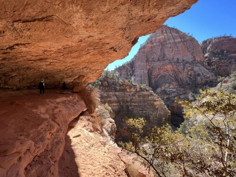 las-vegas-vip-guided-photography-hiking-tour-of-zion-np