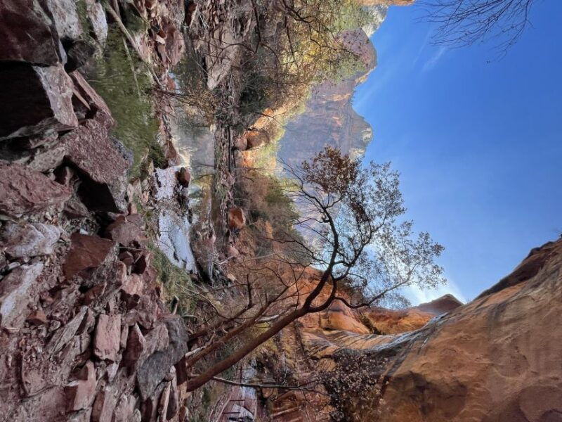 las-vegas-vip-guided-photography-hiking-tour-of-zion-np