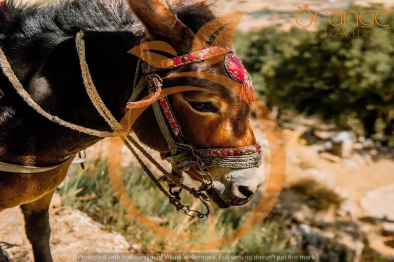 lasithiplateau-explore-plateaus-folklore