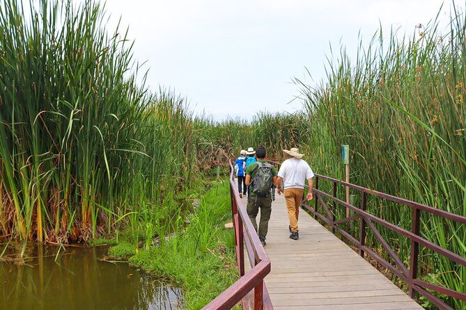 last-little-wildlife-refuge-in-lima