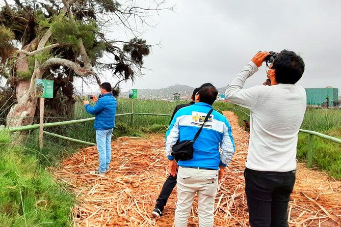 last-little-wildlife-refuge-in-lima