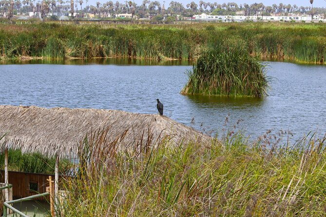 last-little-wildlife-refuge-in-lima