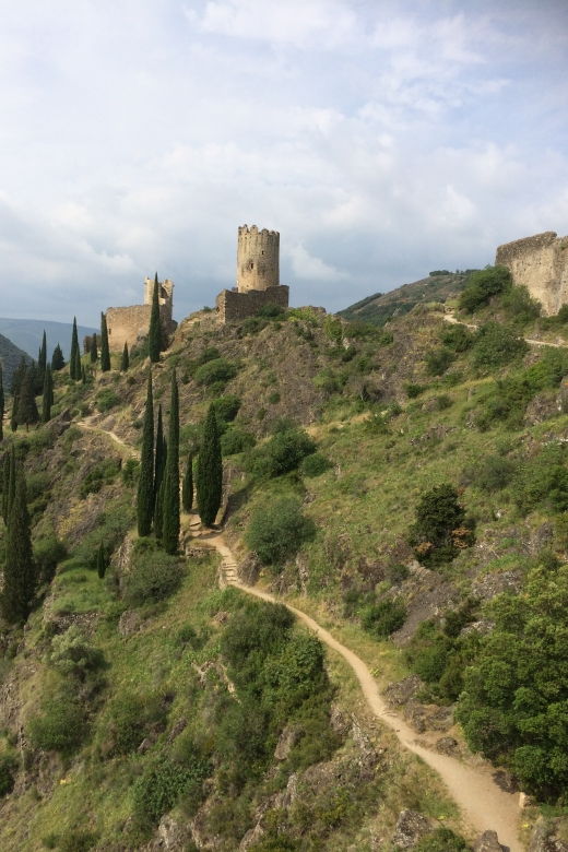 lastours-vineyard-minerve-canal-du-midi-from-carcassonne